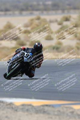 media/May-14-2023-SoCal Trackdays (Sun) [[024eb53b40]]/Turn 5 Tree of Life (1125am)/